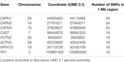 Skeletal Muscle Expression of Actinin-3 (ACTN3) in Relation to Feed Efficiency Phenotype of F2Bos indicus - Bos taurus Steers